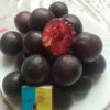 Черікос гібридна алича