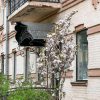 photo_2023-04-27_16-51-55-2.jpg Сакура Роял Бургунді не на штамбі