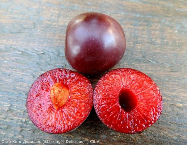 starking-delicious.jpg Слива "Стар Кінг" Делішес диплоїдна (саджанці дворічні)