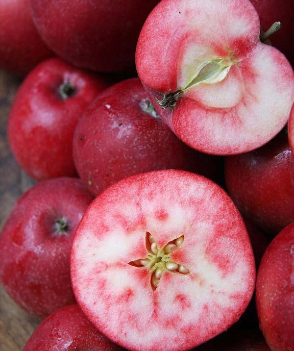 Яблуня "Сирена" (Червоном'ясий сорт)