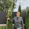 IMG_0205 Сакура 3 в 1 (Альба + Канзан + Бургундія)