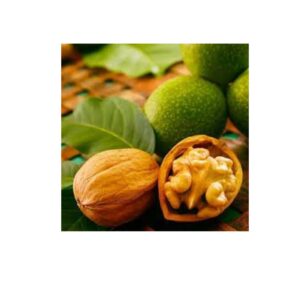 Абрикос "Мелітопольський чорний", середній термін дозрівання